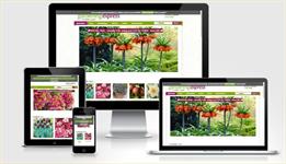 Rain boosts online gardening sales